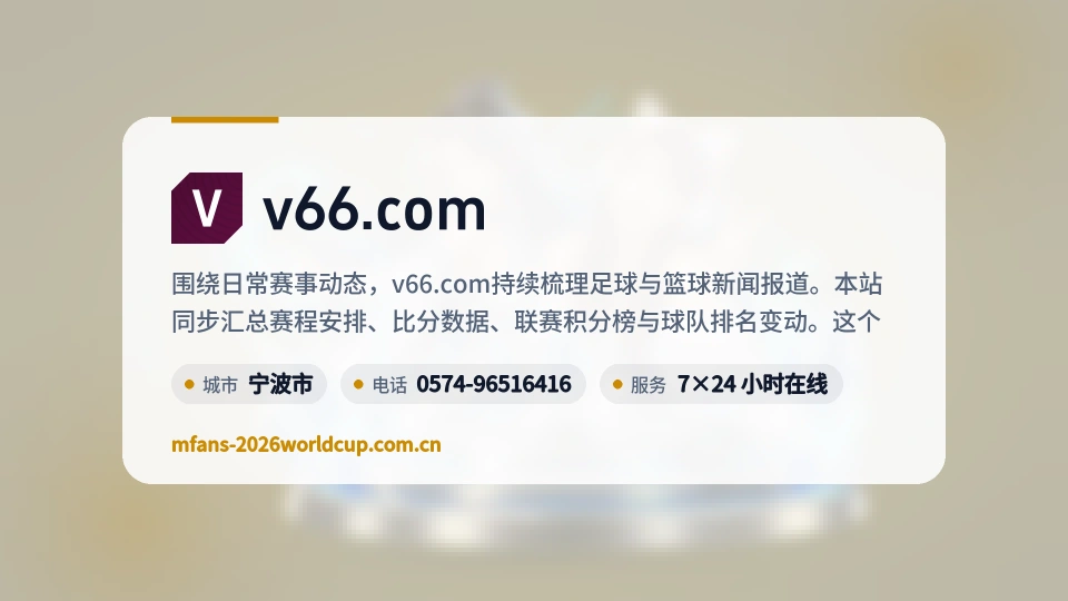 v66.com概况
